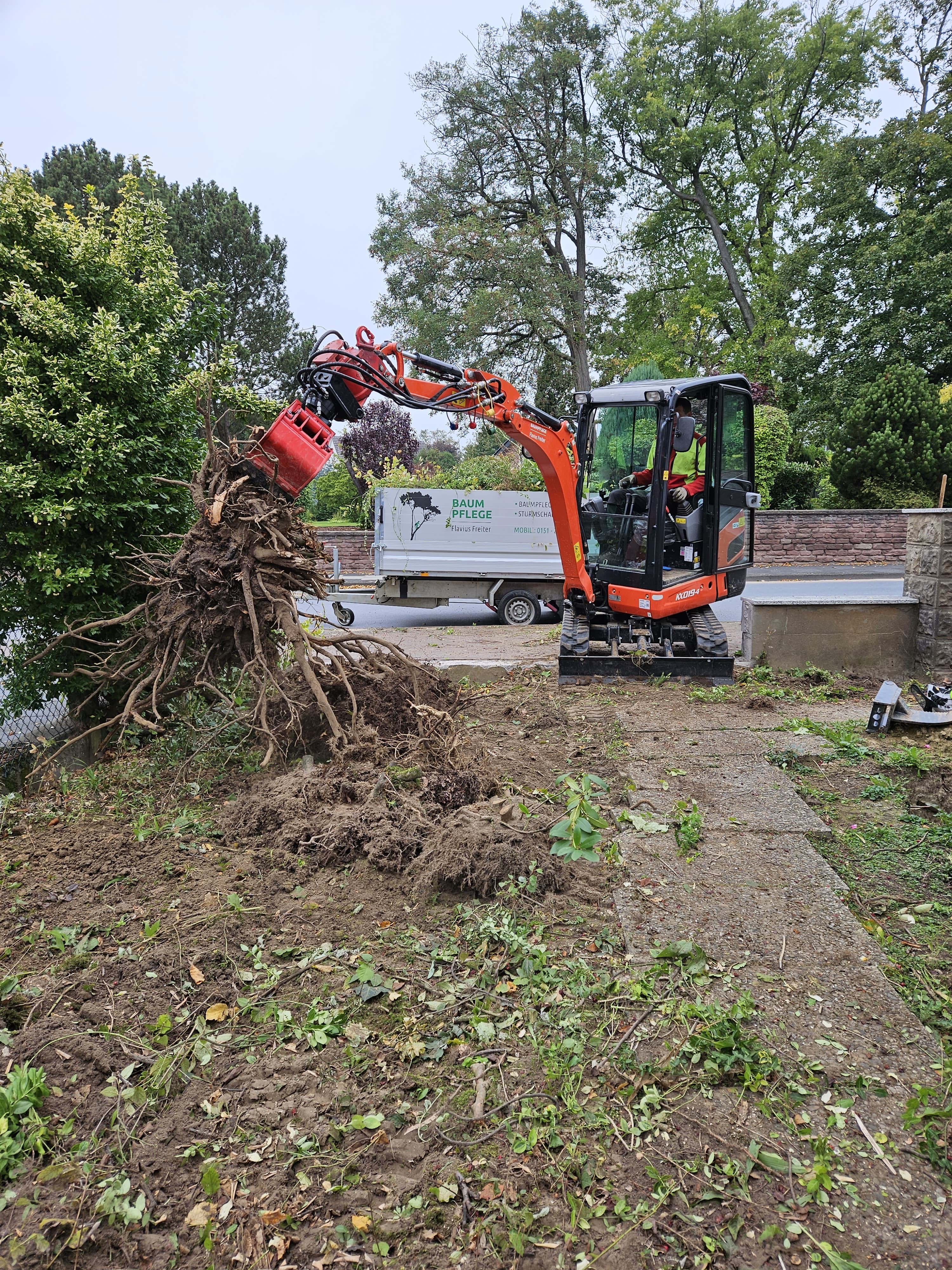 Wurzelentfernung mit Minibagger